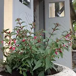 For Friends * Kuressaare