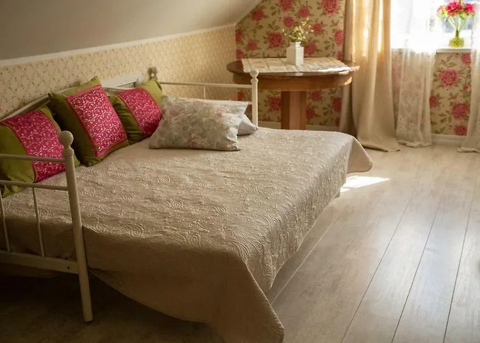 For Friends 库雷萨雷