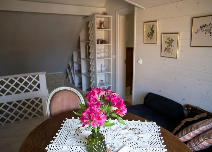 For Friends 库雷萨雷